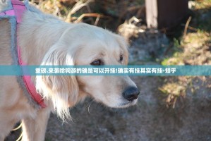 重磅.来袭哈狗游的确是可以开挂!确实有挂其实有挂-知乎