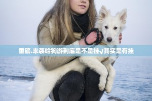 重磅.来袭哈狗游到底是不是挂√其实是有挂