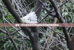 推荐一款中至窝龙有没有挂确实有挂真的确实有挂