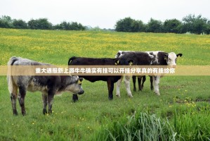 推荐一款德州扑克究竟有挂吗真的确实有挂