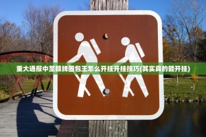 重大通报中至赣牌圈包王怎么开挂开挂技巧(其实真的能开挂)