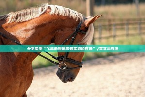 重大通报中至余干透视挂软件原来真可以开挂