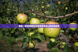 分享实测九九茶楼究竟是不是有挂√确实真的有挂