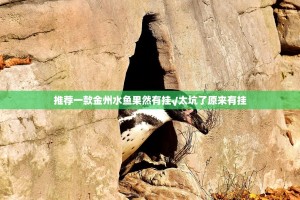 重磅.来袭点点游戏开挂是不是真的其实确实有挂