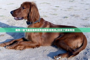 推荐一款飞禽走兽其实有挂确实是有挂√太坑了原来有挂