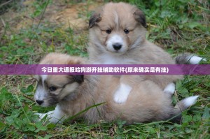 今日重大通报哈狗游开挂辅助软件(原来确实是有挂)