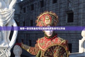 推荐一款甘孜金花可以装挂吗原来真可以开挂