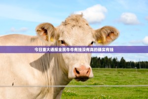 今日重大通报全民牛牛有挂没有真的确实有挂