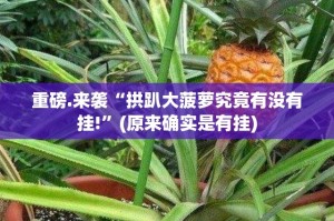 分享实测“来客到底能开挂吗”√曝光透视猫腻