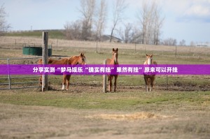 重大通报TX双城棋牌外卦神器下载安装2025（果然有挂）