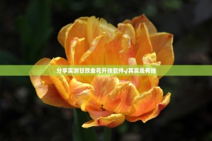 分享实测甘孜金花开挂软件√其实是有挂