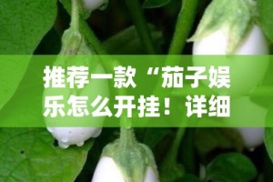 推荐一款“茄子娱乐怎么开挂！详细开挂教程”@太坑了真的有挂