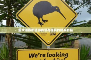 重大通报新道游有没有挂真的确实有挂