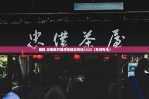 重磅.来袭新好游原来确实有挂2025（果然有挂）