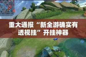 重大通报“新全游确实有透视挂”开挂神器
