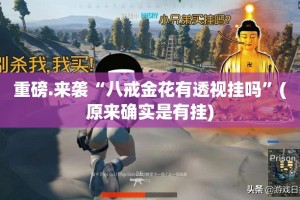 重磅.来袭“八戒金花有透视挂吗”(原来确实是有挂)