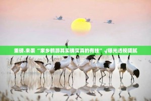 重磅.来袭宝莲灯怎么开挂实测确实有挂