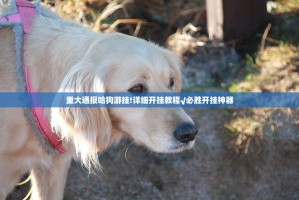 重大通报哈狗游挂!详细开挂教程√必胜开挂神器