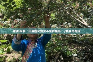 重磅.来袭“川麻圈究竟是不是有挂吗”√其实是有挂
