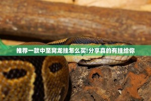 推荐一款中至窝龙挂怎么买!分享真的有挂给你