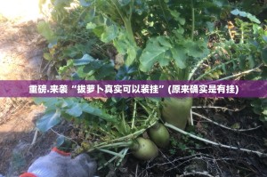 重磅.来袭“拔萝卜真实可以装挂”(原来确实是有挂)
