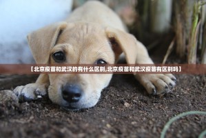 重磅.来袭五十K怎么买挂确实真的有挂开挂神器