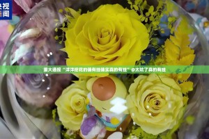 重大通报“洋洋挖花的确有挂确实真的有挂”@太坑了真的有挂
