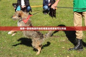 今日重大通报浙江游戏大厅其实有挂,真的确实有挂其实确实有挂