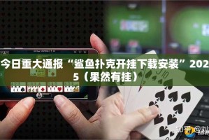 重磅.来袭“七千游戏其实确实真的有挂”2025（果然有挂）