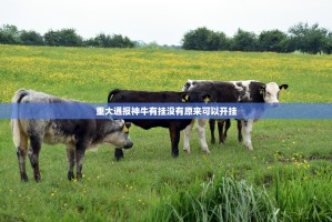 重大通报神牛有挂没有原来可以开挂