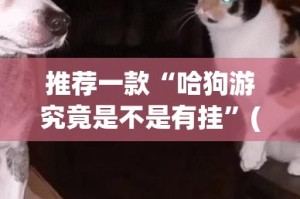 今日重大通报鱼扑克“能不能开挂”确实有挂2025（果然有挂）
