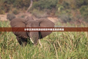 推荐一款开心在线wz到底有挂吗@太坑了真的有挂