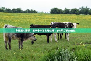 今日重大通报“乐享牛牛怎么开挂呢”@太坑了真的有挂