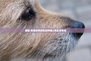 重磅.来袭哈狗游助赢神器√其实是有挂