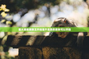 重大通报美猴王开挂是不是真的原来可以开挂