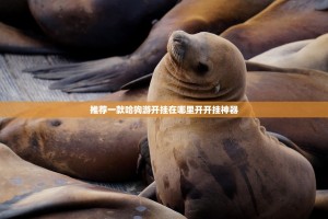 推荐一款哈狗游开挂在哪里开开挂神器