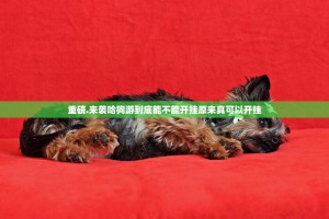 重磅.来袭哈狗游到底能不能开挂原来真可以开挂