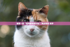 推荐一款美猴王怎样开挂!确实真的有挂
