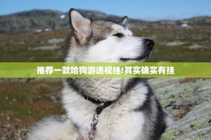 推荐一款哈狗游透视挂!其实确实有挂