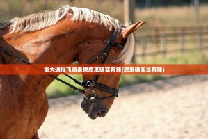 重大通报飞禽走兽原来确实有挂(原来确实是有挂)