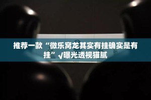 推荐一款“微乐窝龙其实有挂确实是有挂”√曝光透视猫腻