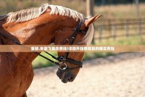 重磅.来袭飞禽走兽挂!详细开挂教程真的确实有挂