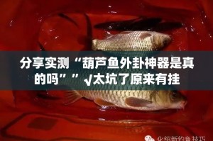 分享实测“葫芦鱼外卦神器是真的吗””√太坑了原来有挂