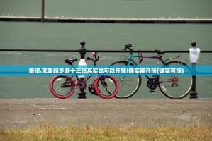 重磅.来袭越乡游十三张其实是可以开挂!确实能开挂(确实有挂)