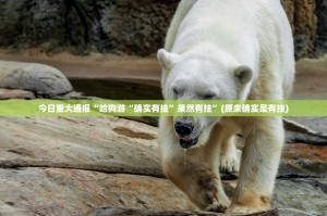 重磅.来袭纵横互娱有挂吗其实是有挂(真的有挂)-知乎