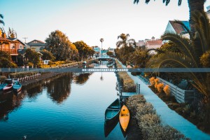 推荐一款镇雄关春天开挂是不是真的√其实是有挂