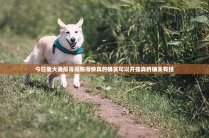 今日重大通报哥哥跑得快真的确实可以开挂真的确实有挂
