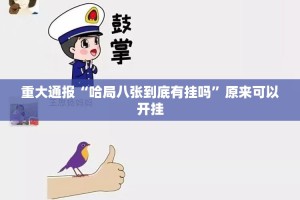 重大通报“哈局八张到底有挂吗”原来可以开挂