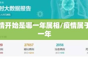 疫情开始是哪一年属相/疫情属于哪一年