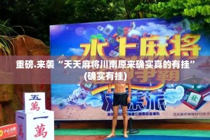 推荐一款全民雀神透视软件(确实有挂)